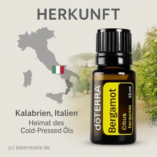 doTERRA Bergamotte - Citrus bergamia - Bergamot – Bild 4
