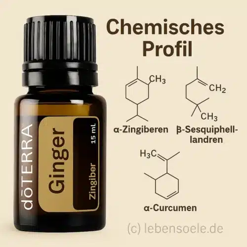 doTERRA Ingwer - Zingiber officinale - Ginger – Bild 4