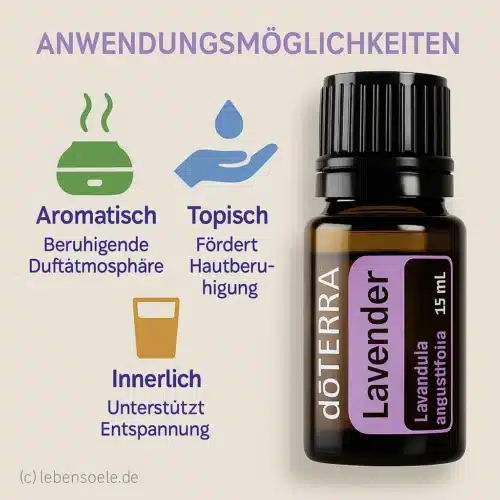 doTERRA Lavendel - Lavandula angustifolia - Lavender – Bild 2