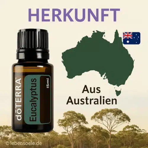 doTERRA Eukalyptus - Eucalyptus radiata – Bild 4