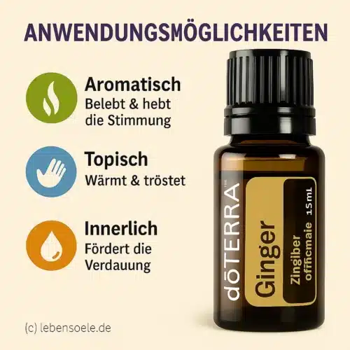doTERRA Ingwer - Zingiber officinale - Ginger – Bild 2