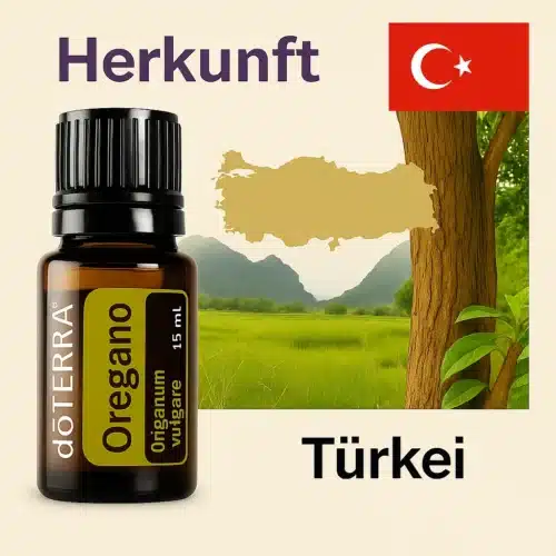 doTERRA Oregano  Origanum vulgare – Bild 4
