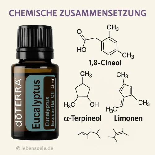 doTERRA Eukalyptus - Eucalyptus radiata – Bild 3