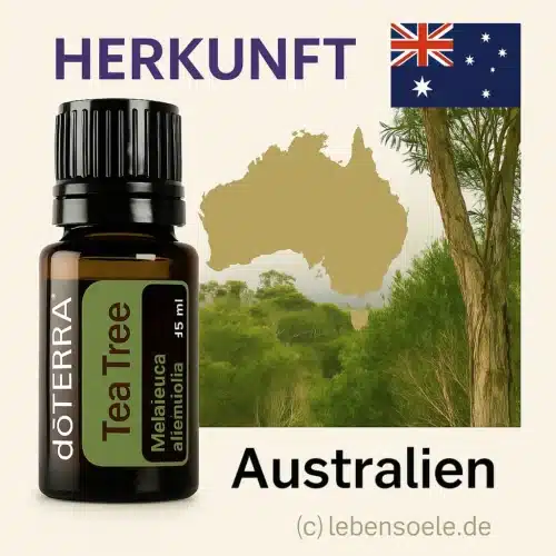 doTERRA Melaleuca - Teebaumöl - Tea Tree – Bild 2