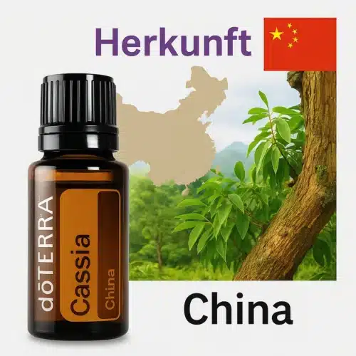 doTERRA Kassia - Cinnamomum cassia – Bild 4