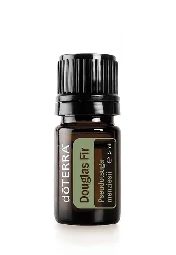 doTERRA Douglastanne – Pseudotsuga menziesii – Douglas Fir