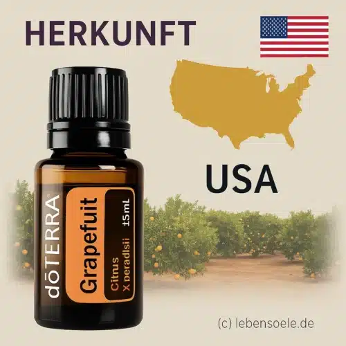 doTERRA Grapefruit - Citrus X paradisi - Pampelmuse – Bild 3