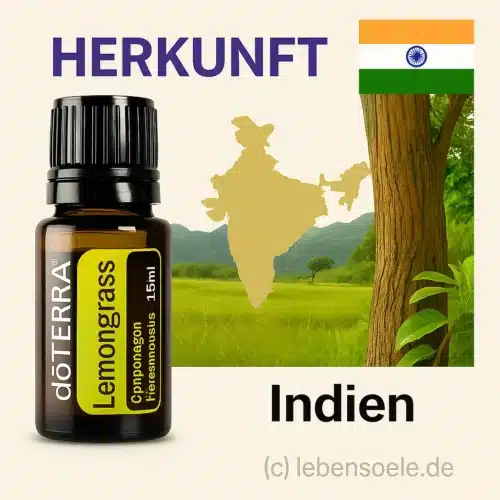 doTERRA Zitronengras  - Cymbopogon flexuosus - Lemongrass – Bild 4