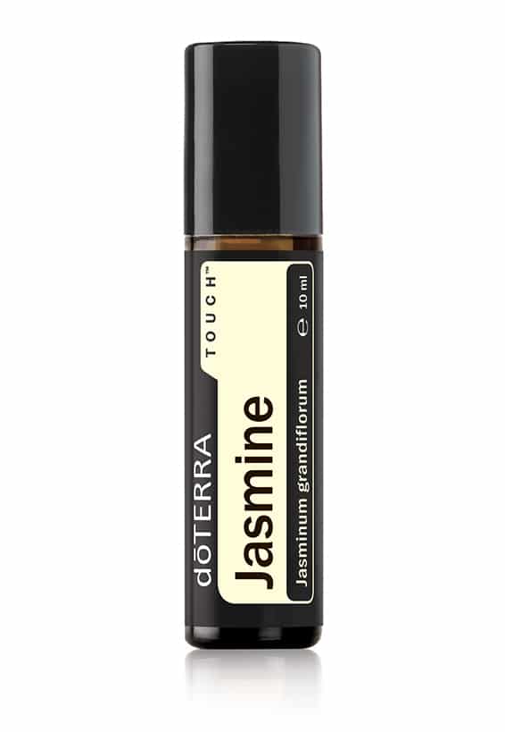 Jasmine Touch® Jasminum grandiflorum