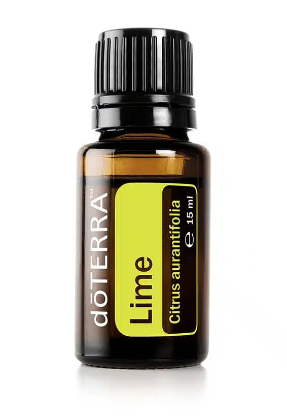 doTERRA Limette – Citrus aurantifolia – Lime