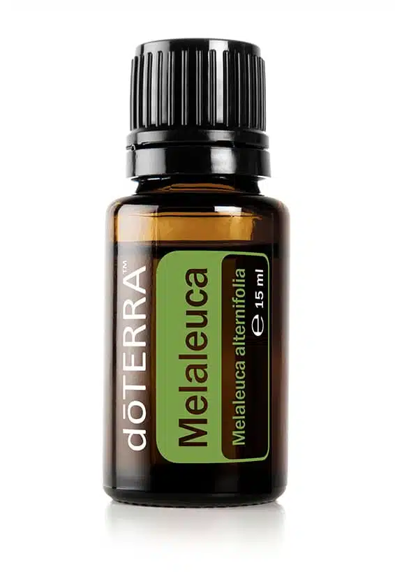 doTERRA Melaleuca – Teebaumöl – Tea Tree