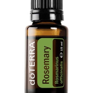 Rosmarin – Rosmarinus officinalis – Rosemary