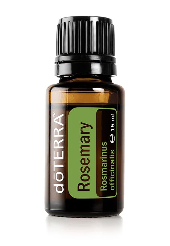 doTERRA Rosmarin – Rosmarinus officinalis – Rosemary