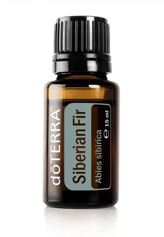 doTERRA Sibirische Tanne – Abies sibirica – Siberian Fir