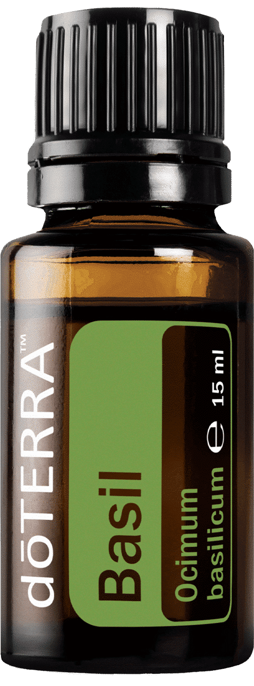 doTERRA Basilikum – Ocimum basilicum – Basil