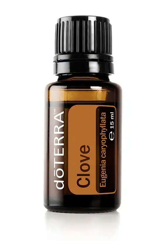 doTERRA Gewürznelke – Eugenia caryophyllata – Clove