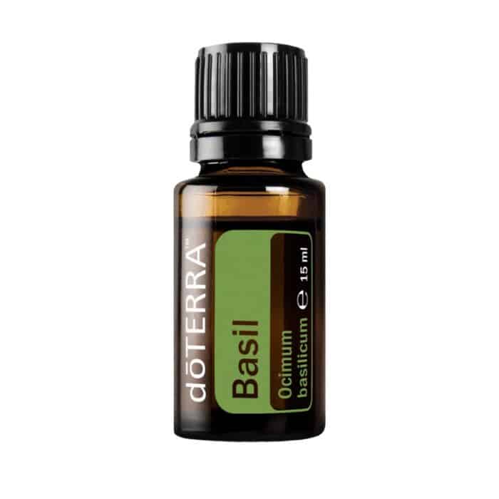 doTERRA Basilikum – Ocimum basilicum – Basil