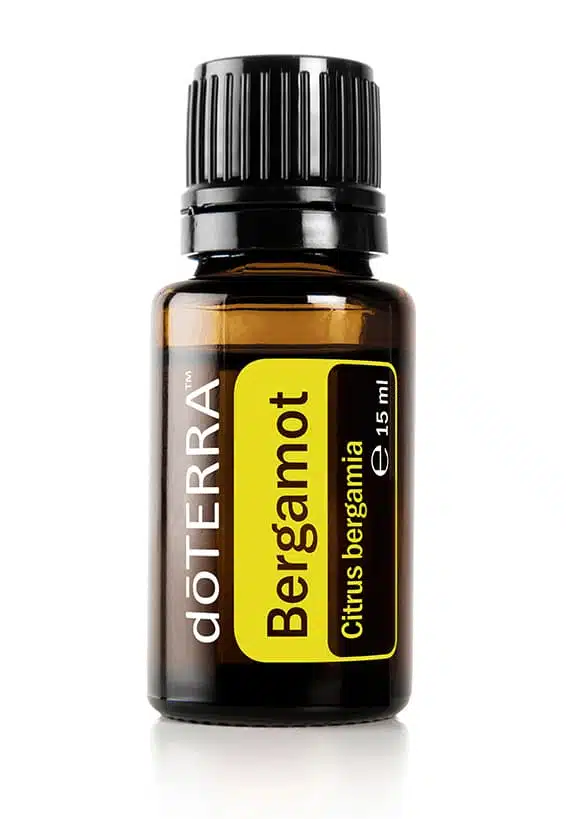 doTERRA Bergamotte – Citrus bergamia – Bergamot