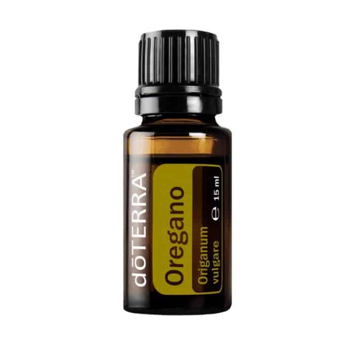 doTERRA Oregano  Origanum vulgare