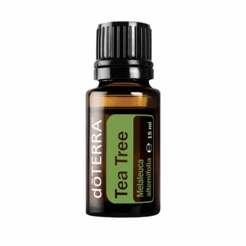 doTERRA Melaleuca - Teebaumöl - Tea Tree