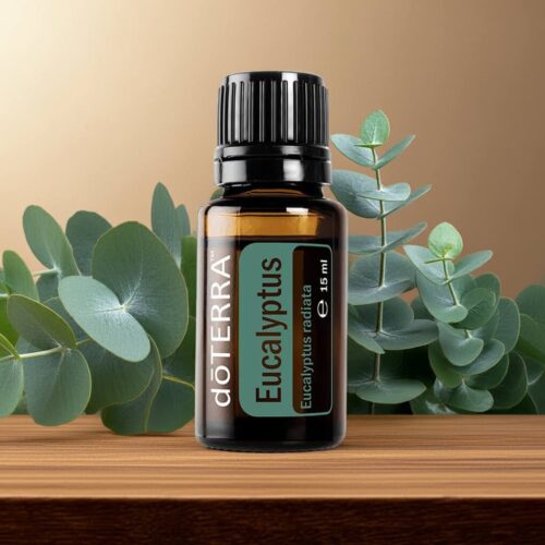 doTERRA Eukalyptus - Eucalyptus radiata – Bild 5