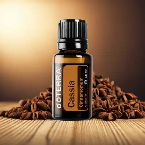 doTERRA Kassia - Cinnamomum cassia – Bild 5