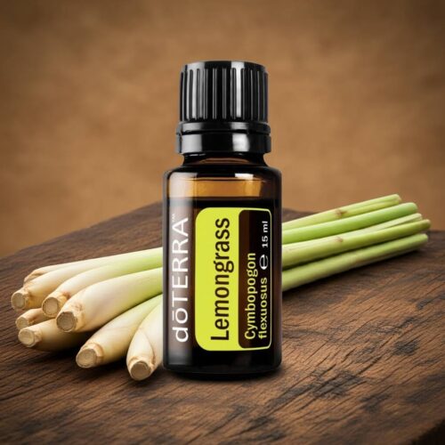 doTERRA Zitronengras  - Cymbopogon flexuosus - Lemongrass – Bild 5