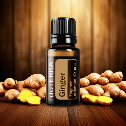 doTERRA Ingwer - Zingiber officinale - Ginger – Bild 5