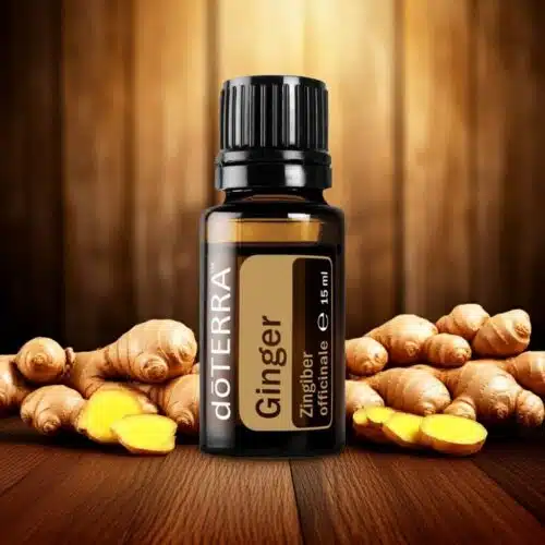 doTERRA Ingwer - Zingiber officinale - Ginger – Bild 5