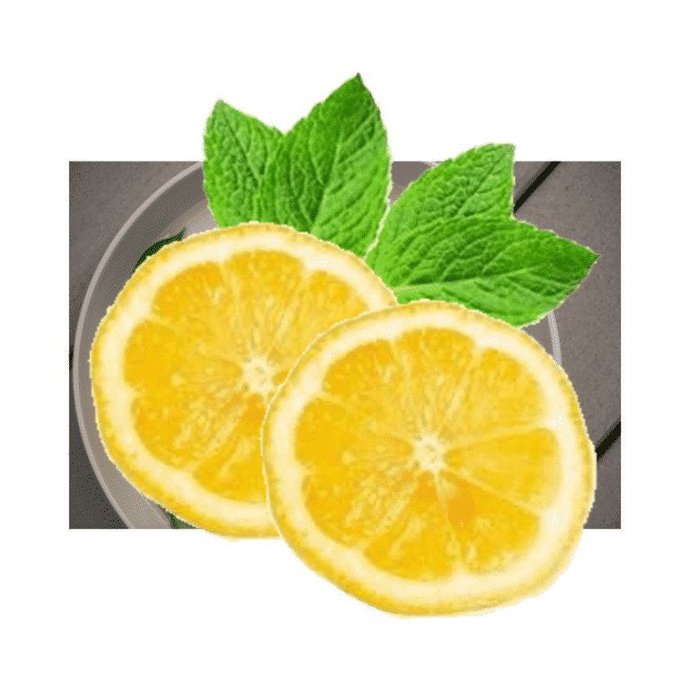doTERRA Zitrone – Citrus limon – Lemon