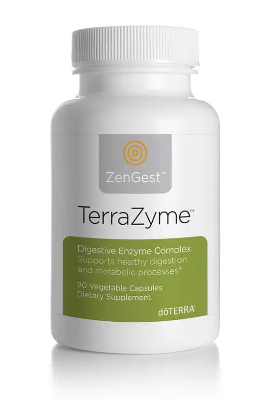 TerraZyme Komplex (Verdauungssystem)