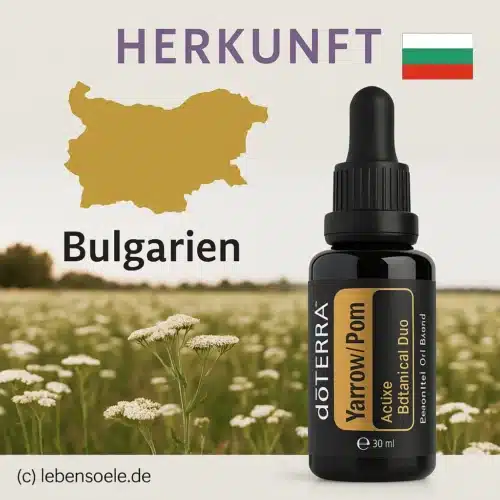 doTERRA Yarrow Pom - Schafgarbe Granatapfel – Bild 3