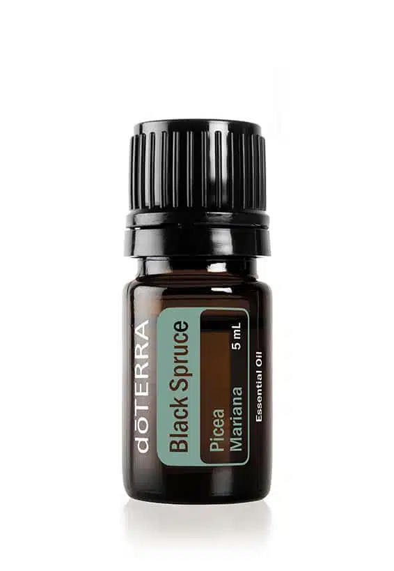 doTERRA Black Spruce – Schwarzfichte