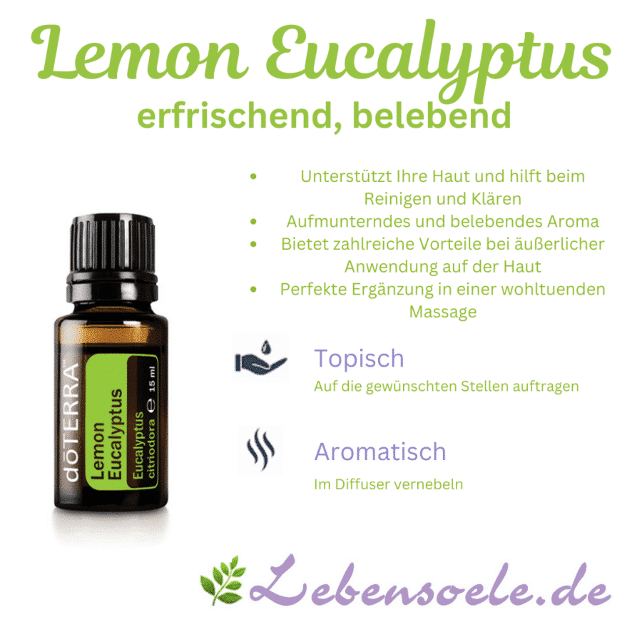 Lemon Eucalyptus – Zitronen Eukalyptus