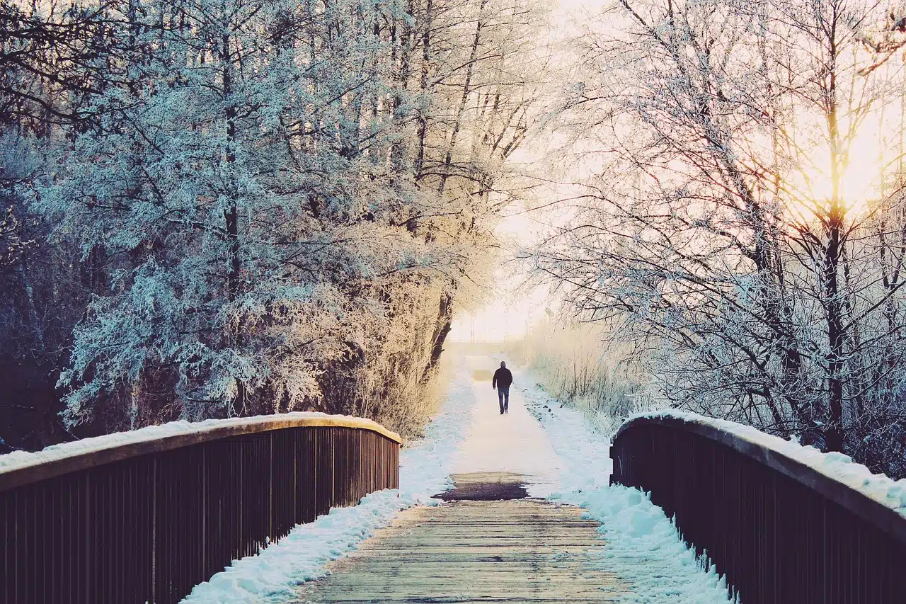 Mehr über den Artikel erfahren Winterzauber mit doTERRA: Die Magie ätherischer Öle für die kalte Jahreszeit