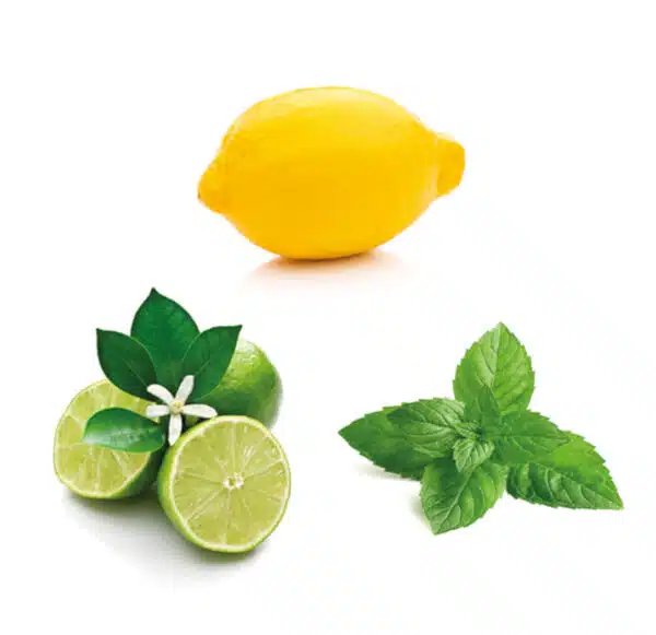 lemon - limette - peppermint