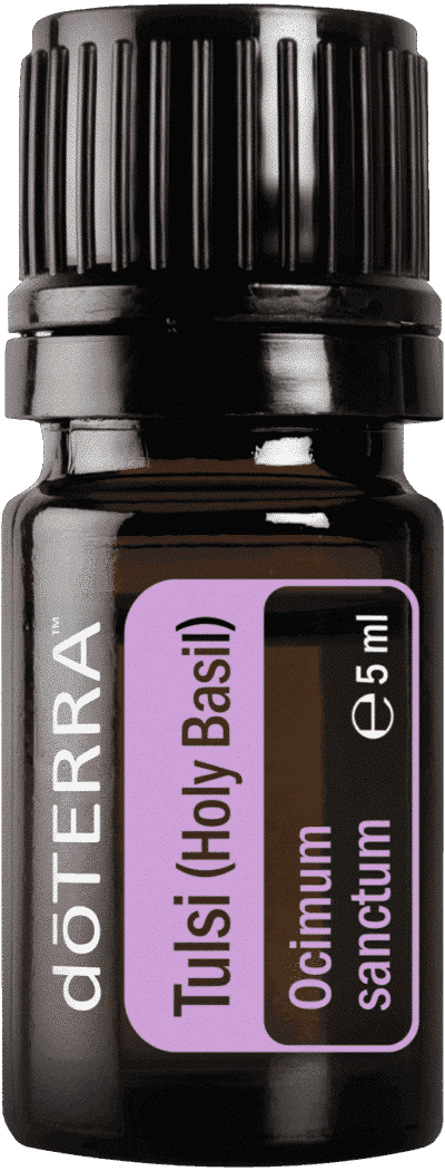 doTERRA Tulsi Holy Basil - Heiliges Basilikum