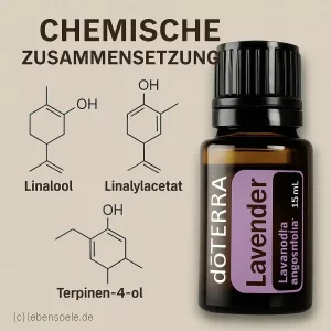 doTERRA Lavendel - Lavandula angustifolia - Lavender – Bild 4