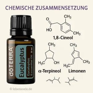 doTERRA Eukalyptus - Eucalyptus radiata – Bild 3