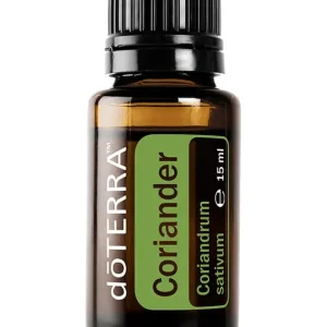 Koriander Coriandrum sativum - Coriander
