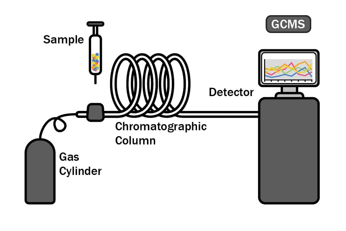 Gaschromatographie und Massenspektrometrie (GC/MS) eines ätherischen Öls