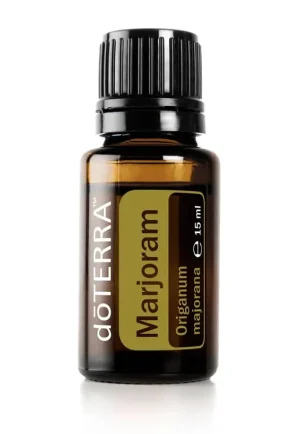 Marjoran Origanum majorana - Marjoram