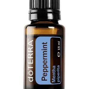 Pfefferminze Mentha piperita - Peppermint