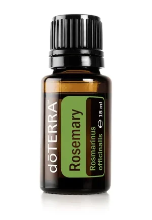 Rosmarin Rosmarinus officinalis - Rosemary