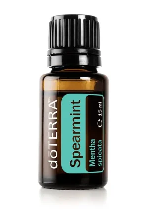 Grüne Minze Mentha spicata (Spearmint)