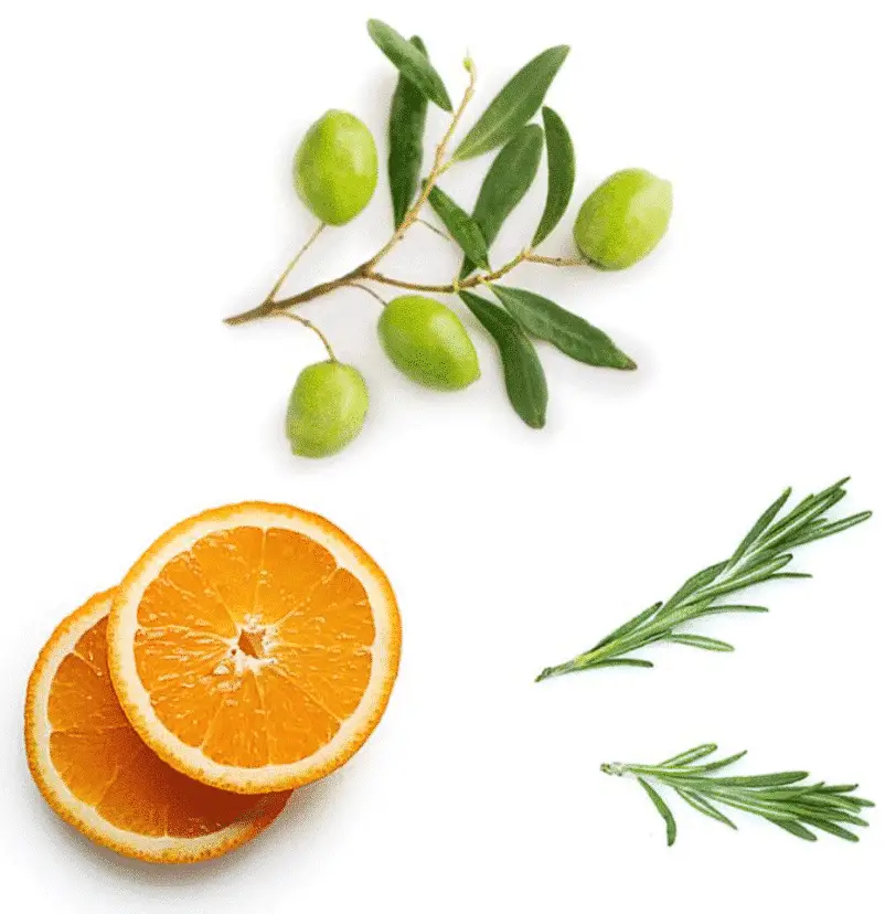 doTERRA EO Mega™+ Softgels – Bild 2