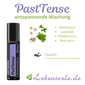 pasttense anwendung